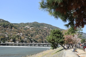 20230328arasiyama2.JPG