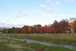 kamogawamarutamatibasi.jpg