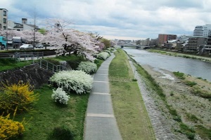 kamogawamatubarahasikaryuu.jpg