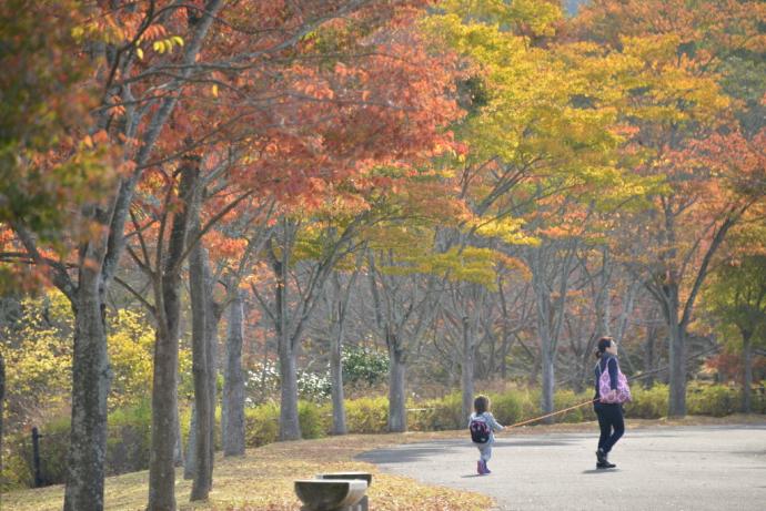 秋朝の公園