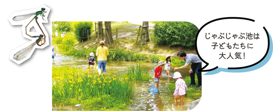 じゃぶじゃぶ池は子どもたちに大人気!