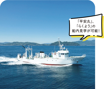 「平安丸」、「らくよう」の船内見学が可能!