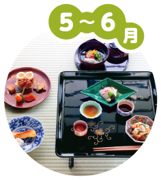 5~6月