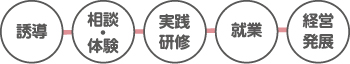 誘導 相談・体験 実践研修 就業 経営発展