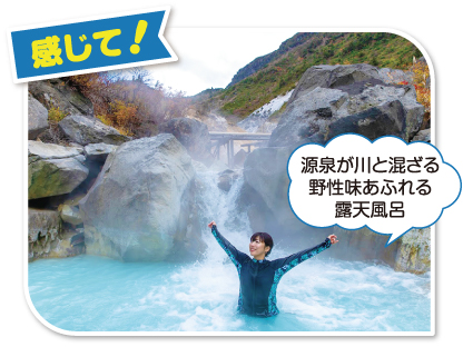 源泉が川と混ざる野性味あふれる露天風呂