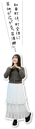 和束町は、町全体に茶畑が広がる「茶源郷」!