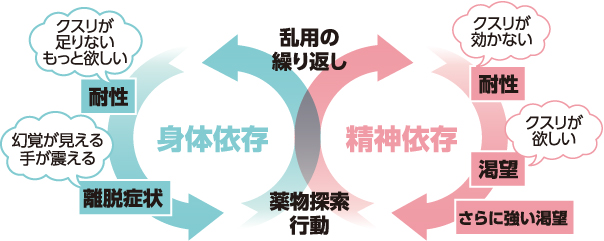 身体依存 クスリが足りないもっと欲しい 耐性 離脱症状 幻覚が見える手が震える 薬物探索行動 乱用の繰り返し 精神依存 耐性 クスリが効かない 渇望 クスリが欲しい さらに強い渇望 薬物探索行動 乱用の繰り返し