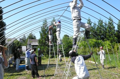 ハウス建設の様子