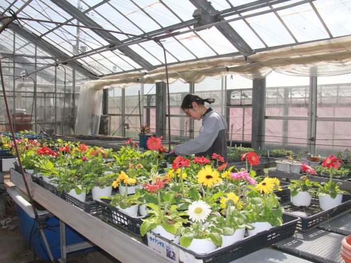 ギャラリー(花き専攻2)