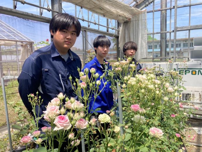 ギャラリー(花き専攻1)