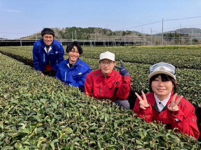 ギャラリー(茶業専攻1)