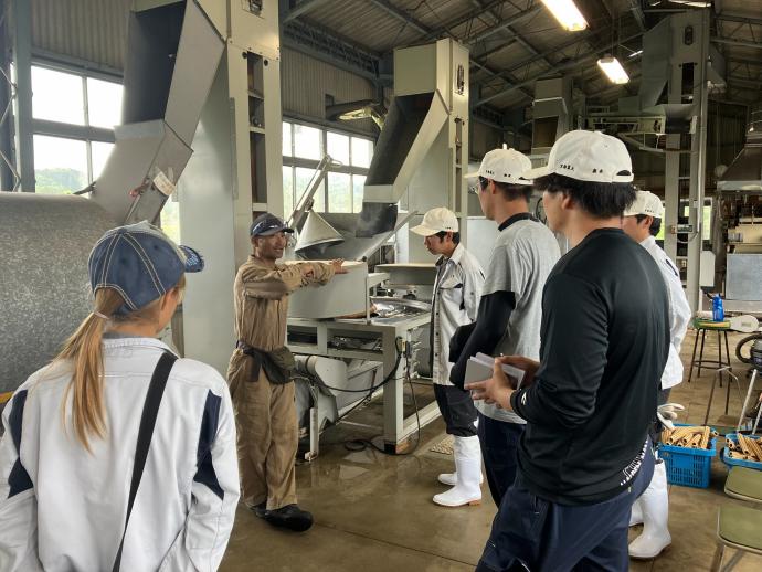 ギャラリー(茶業専攻5)