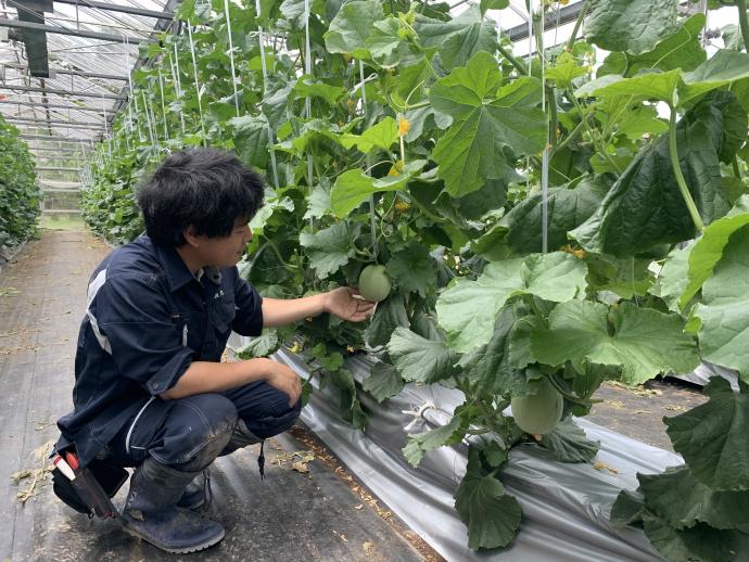 ギャラリー(施設専攻2)