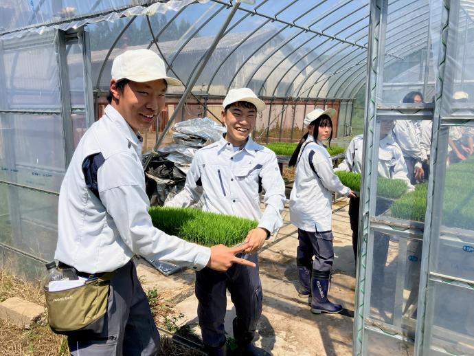 ギャラリー(水稲実習1)