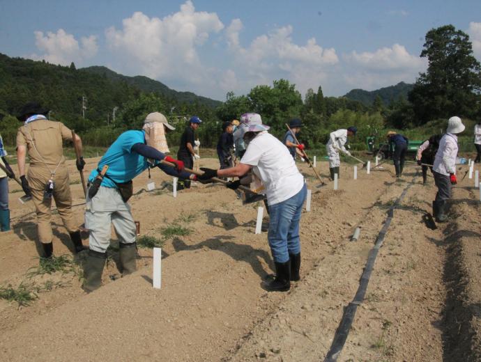 ステップイン講座の様子(ほ場作業の研修)