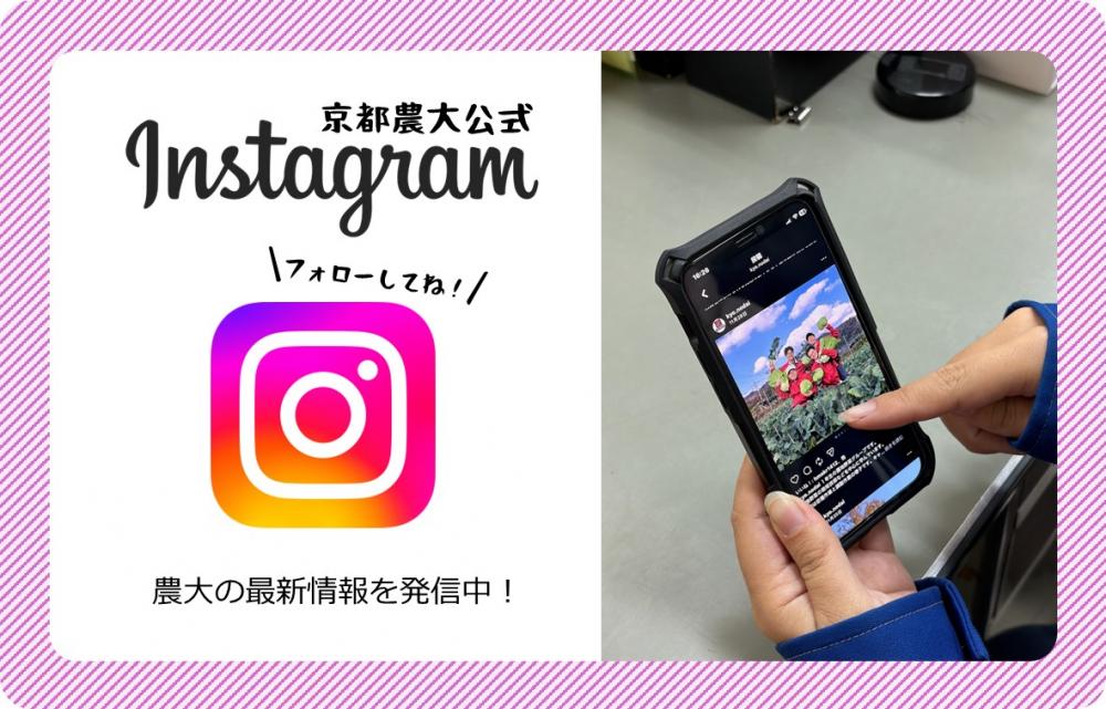 農大インスタグラムの紹介画像