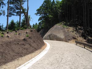 衣懸坂付近を通過する林道