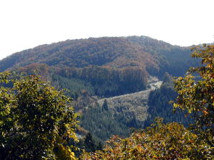 向山入口から下山に向けて