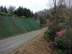 法頭・法尻にはアセビやツツジの花