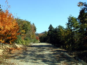 向山2工区の風景