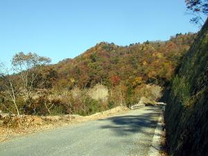 路線風景（丹波美山2号線側：海老谷）