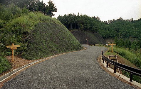 知谷峠付近を通過する林道