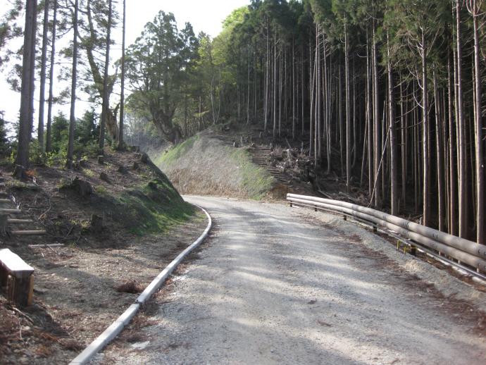 路線沿いの丸太階段工