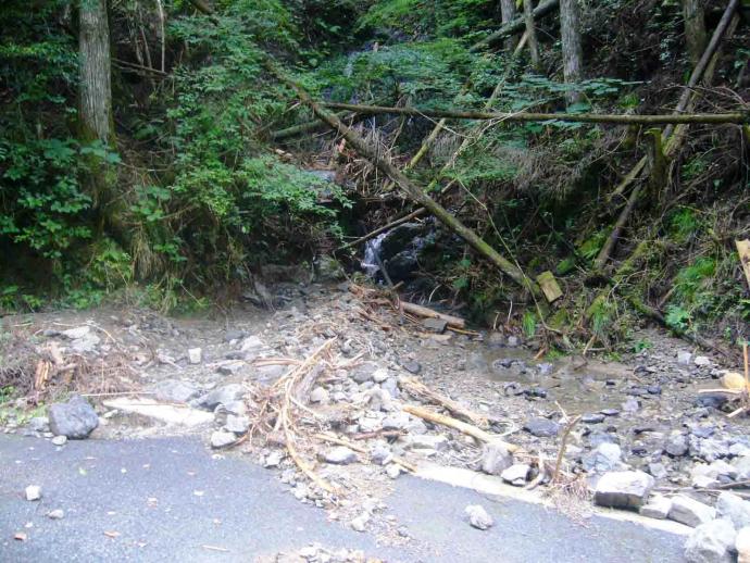 集中豪雨による排水管の閉塞