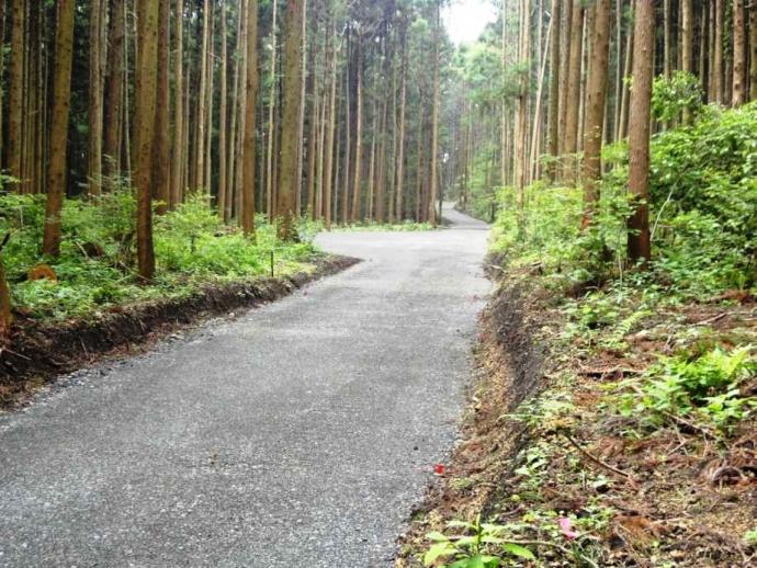 林業専用道