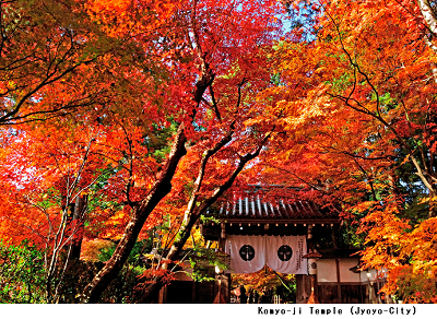 komyo-ji temple