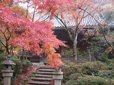 zenpourituji-temple