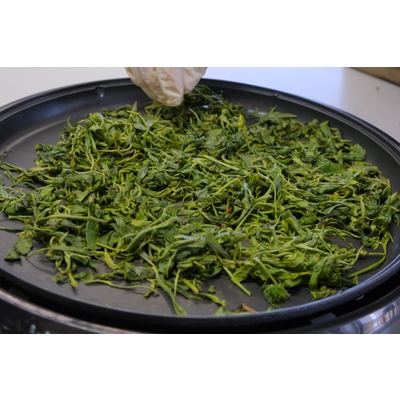 京都やましろ 魅力体験マップ