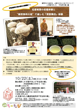 平成28年10月22日実施の名産椎茸の収穫体験と茶歌舞伎体験のチラシ画像