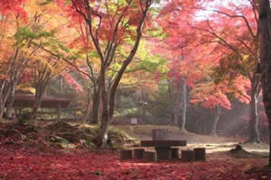 京都やましろの紅葉ガイドを紹介するページへリンクの画像