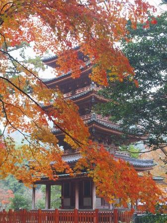 海住山寺五重塔の写真