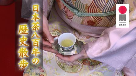 日本茶８００年の歴史散歩の写真