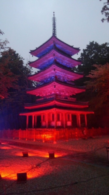 海住山寺 夜間特別拝観 木津川市 海住山寺 ※)お茶の京都DMOより
