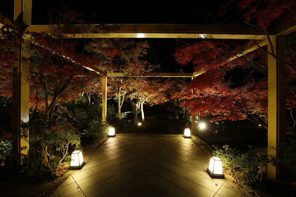 水景園特別夜間開放 紅葉ライトアップ 精華町 けいはんな記念公園 水景園 ※)お茶の京都DMOより