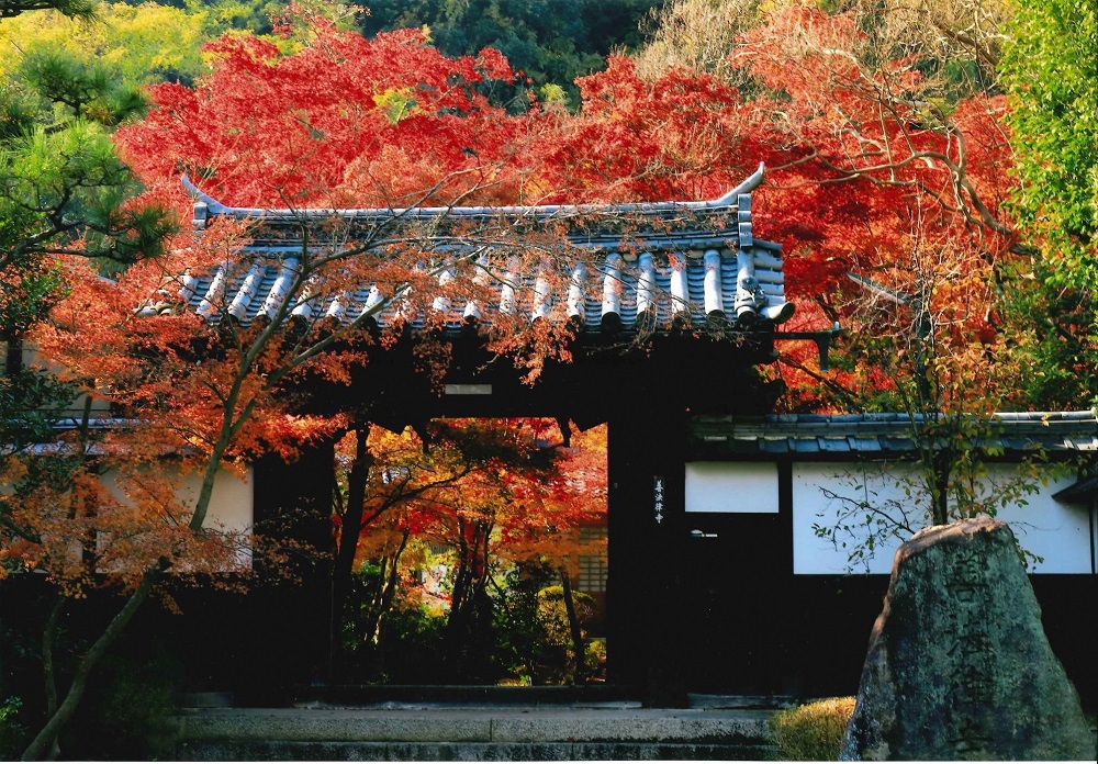 紅葉満喫 秋の文化財一斉公開 八幡市 八幡市内の7社寺 ※)お茶の京都DMOより