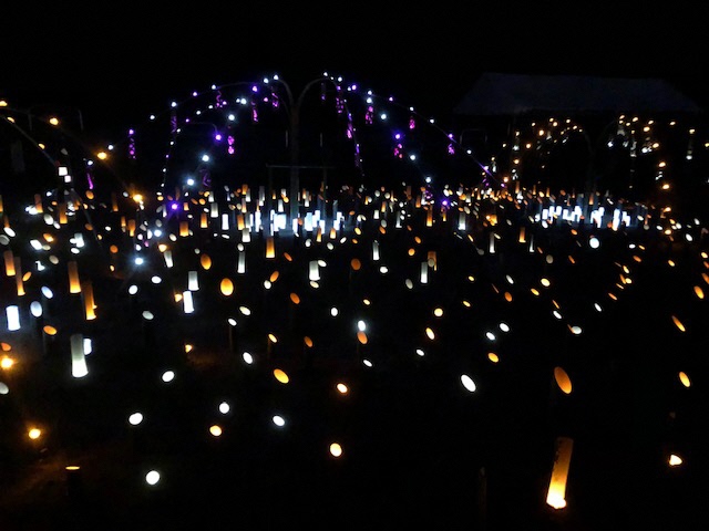 井手!みねーしょん 井手町 ①むすび家ide ②椿坂公園 ※)お茶の京都DMOより