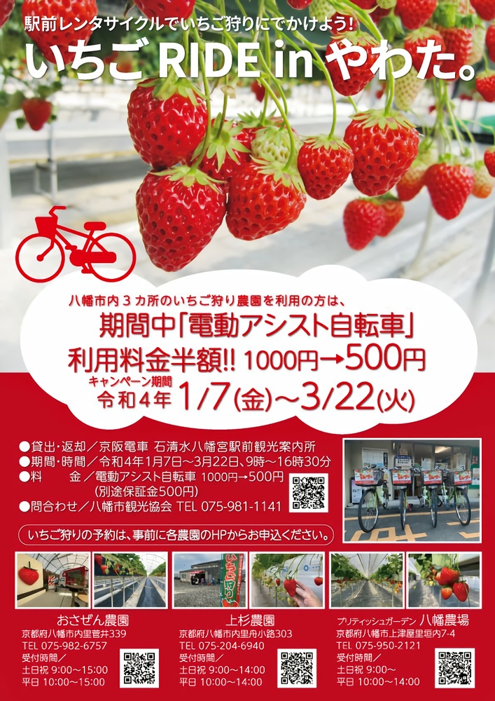 イベント 京都 駅前レンタサイクルでいちご狩りに出かけよう「いちご RIDE in やわた。」 八幡市 京阪電車「石清水八幡宮駅前観光案内所」 京都やましろ観光