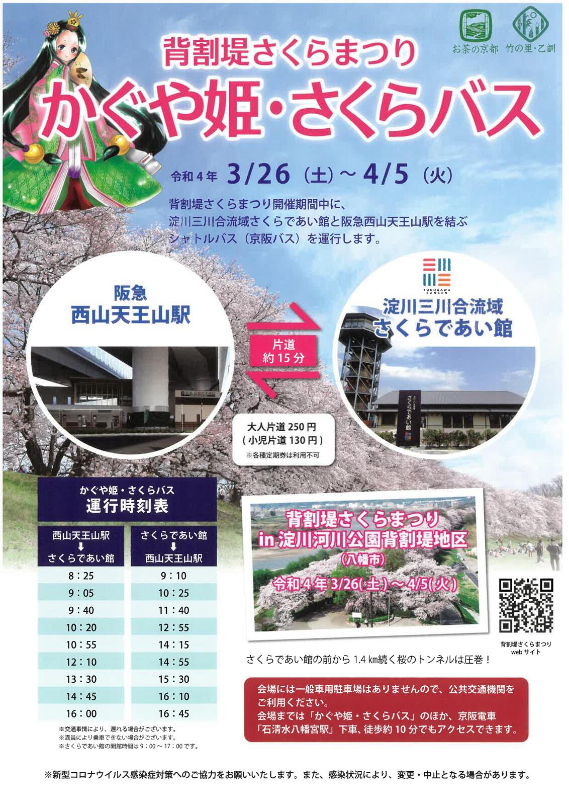 イベント 京都 背割堤さくらまつり かぐや姫・さくらバス 八幡市 さくらであい館 京都やましろ観光