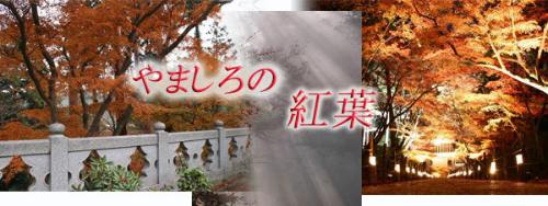京都やましろの紅葉ガイドを紹介するページへリンクの画像