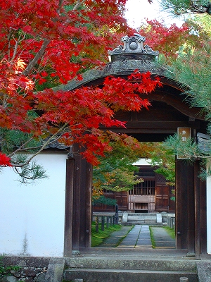 一休寺の紅葉の写真1