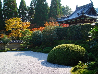 一休寺の紅葉の写真8