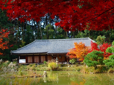 浄瑠璃寺の紅葉の写真1