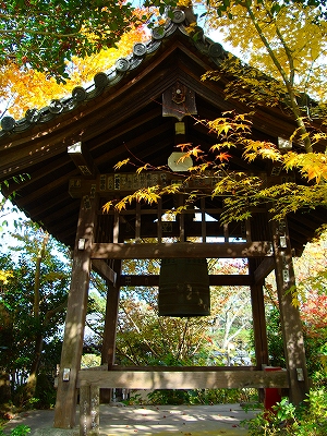 浄瑠璃寺の紅葉の写真2