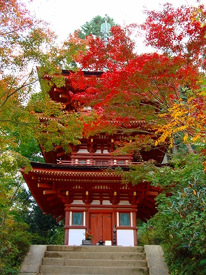 浄瑠璃寺の紅葉の写真3