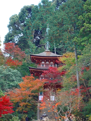 浄瑠璃寺の紅葉の写真4