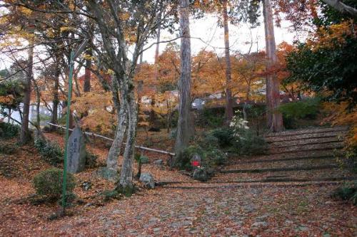 正法寺の紅葉の写真2